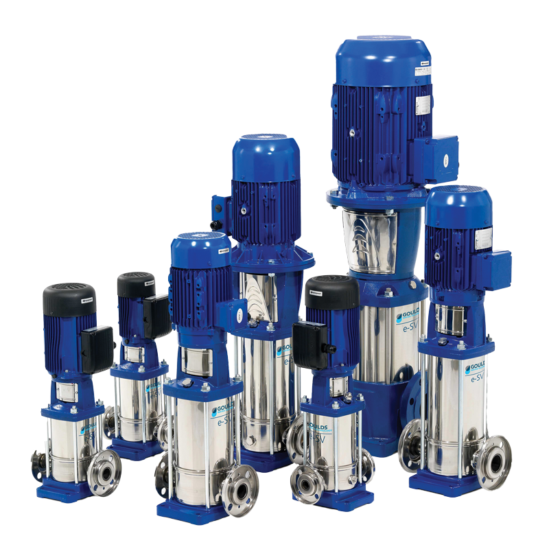 Vertical Multistage Pump