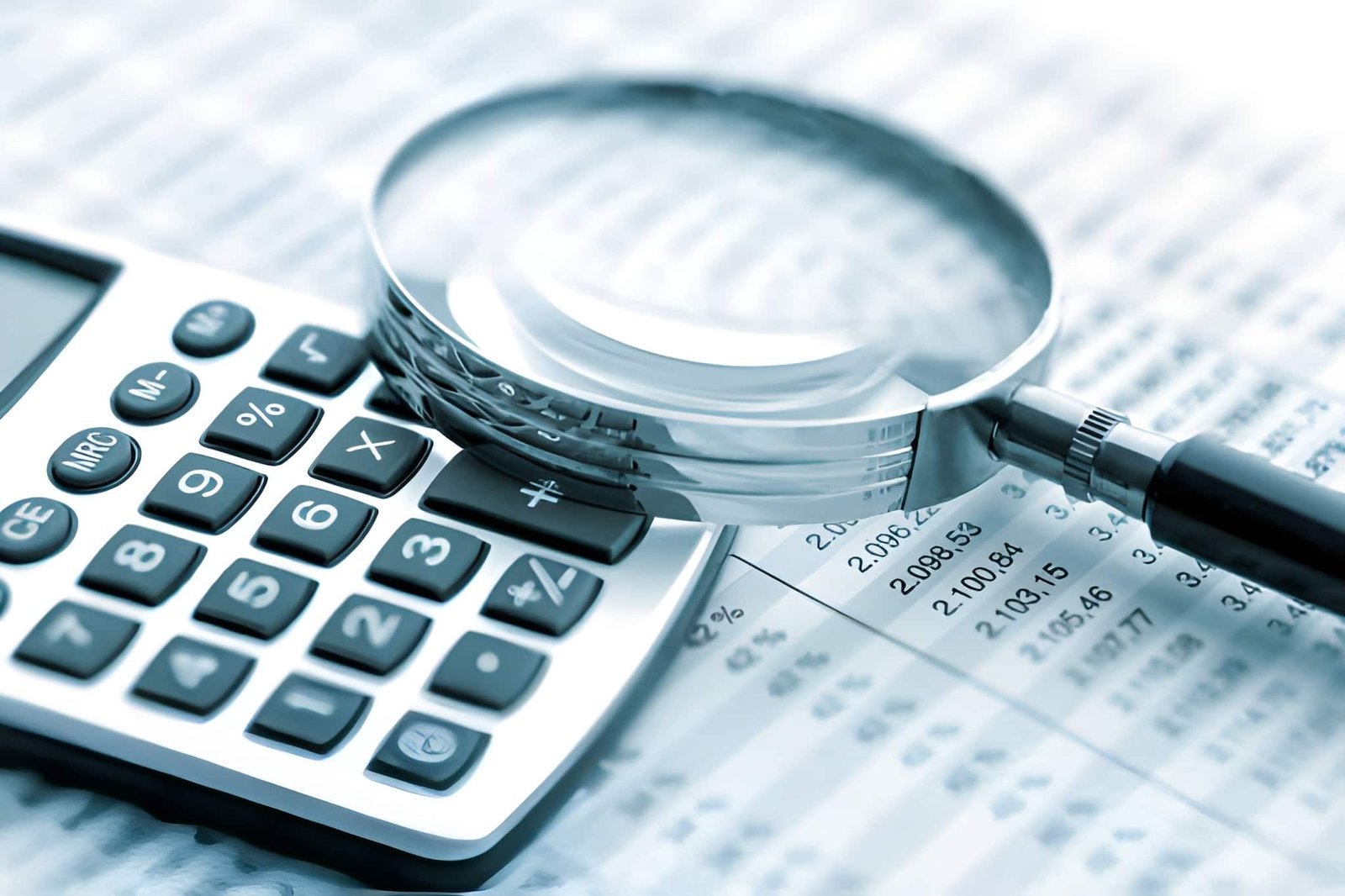 Audits and Consultancy