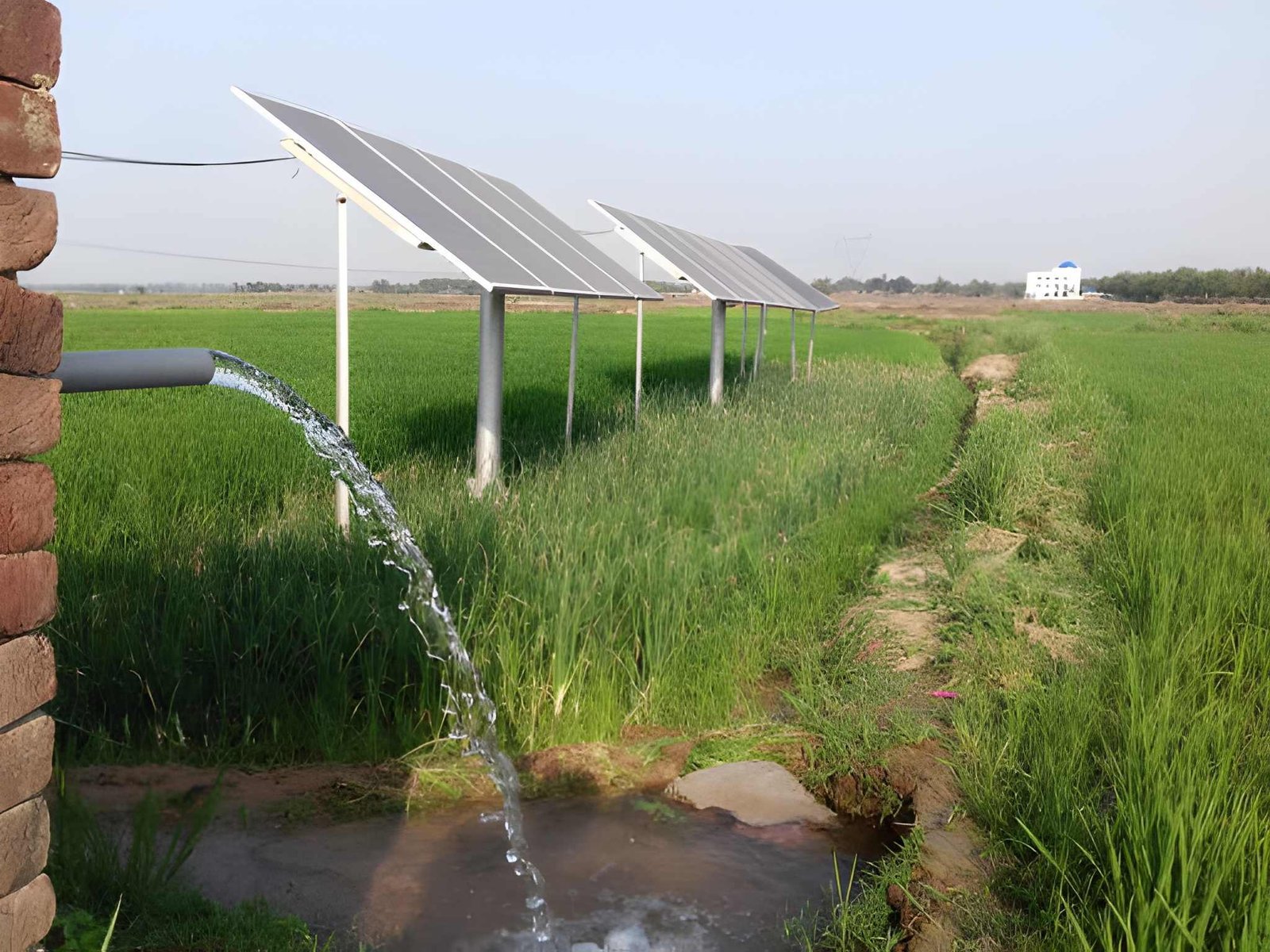 Solar Water Pumping: A Sustainable Solution for Bangladesh